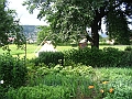 Vegi_fest-10