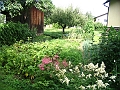 Vegi_fest-8
