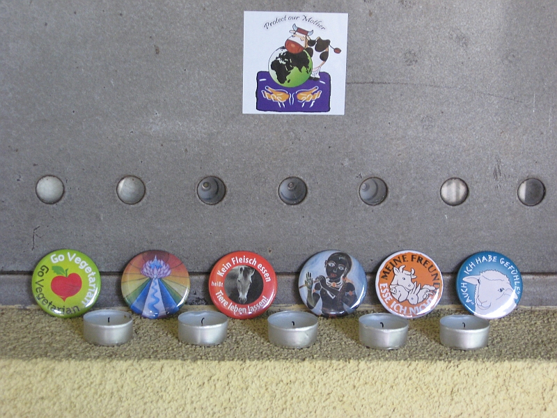 IMG_4326.JPG
